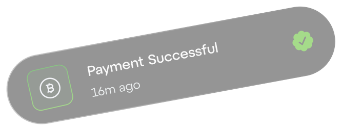 Payment successful illustration